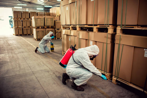 Best Flea Control Services  in Stanfield, OR