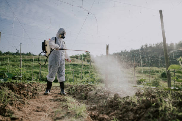 Best Pest Control for Homes  in Stanfield, OR