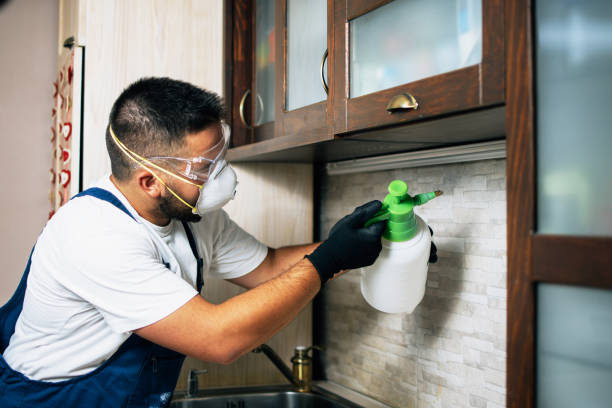 Best Best Pest Control Companies  in Stanfield, OR