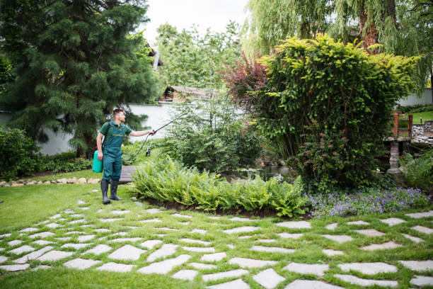 Best Mosquito Control Services  in Stanfield, OR