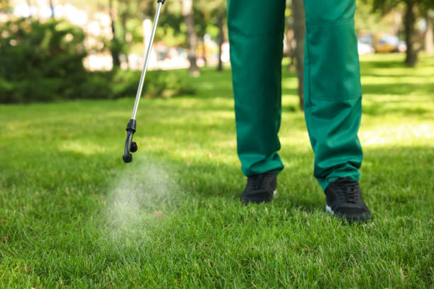 Best Rat Extermination Near Me  in Stanfield, OR