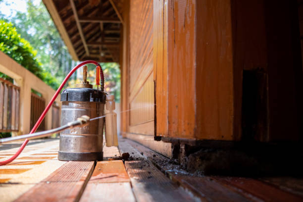Best Rat Extermination Near Me  in Stanfield, OR