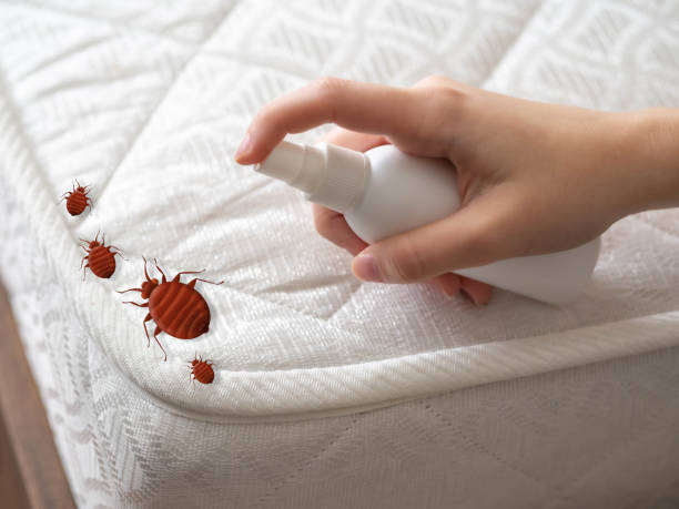 Best Commercial Pest Control Services  in Stanfield, OR