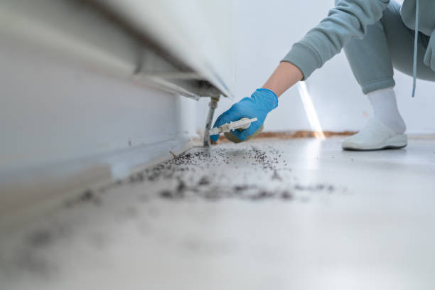 Best Residential Pest Control  in Stanfield, OR